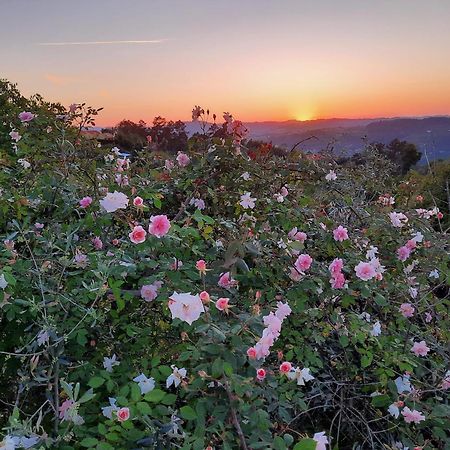 Quinta De Ribas Βίλα Amarante Εξωτερικό φωτογραφία