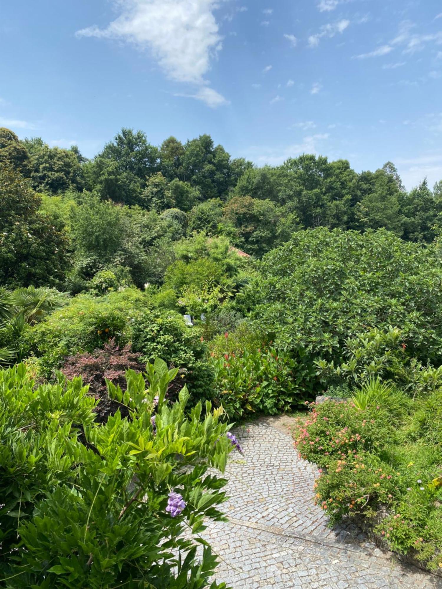 Quinta De Ribas Βίλα Amarante Εξωτερικό φωτογραφία