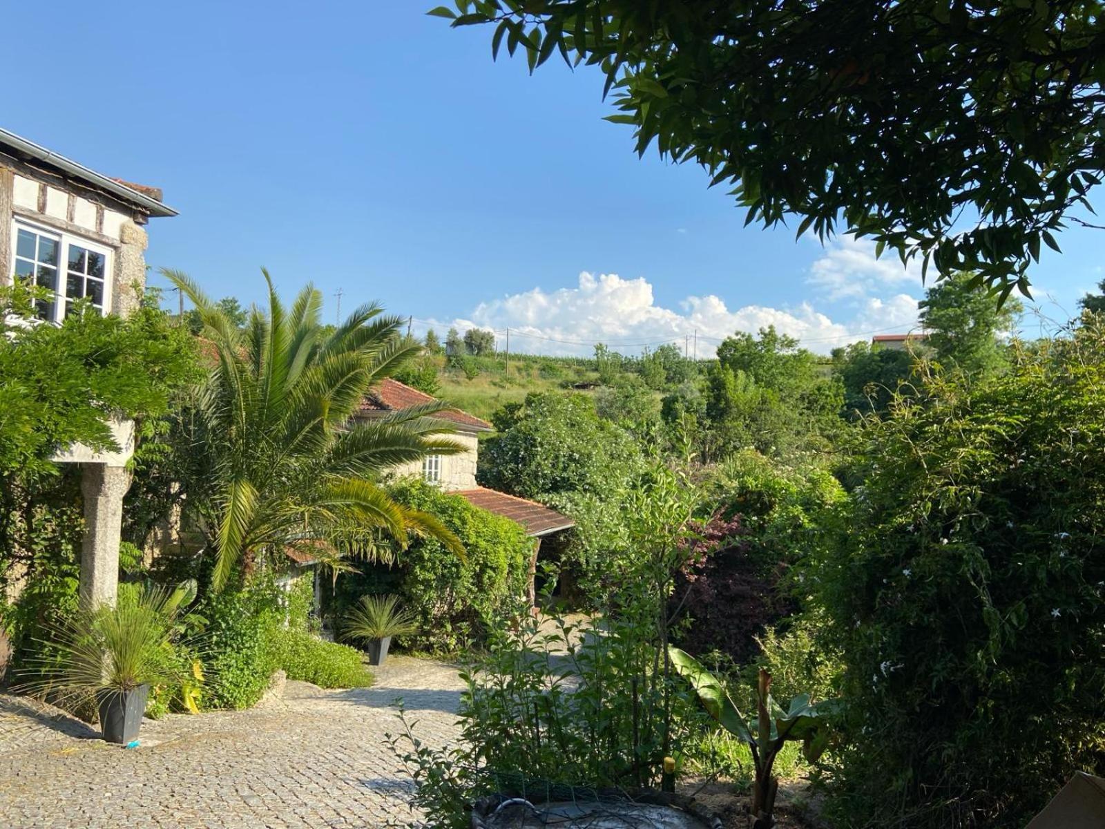 Quinta De Ribas Βίλα Amarante Εξωτερικό φωτογραφία
