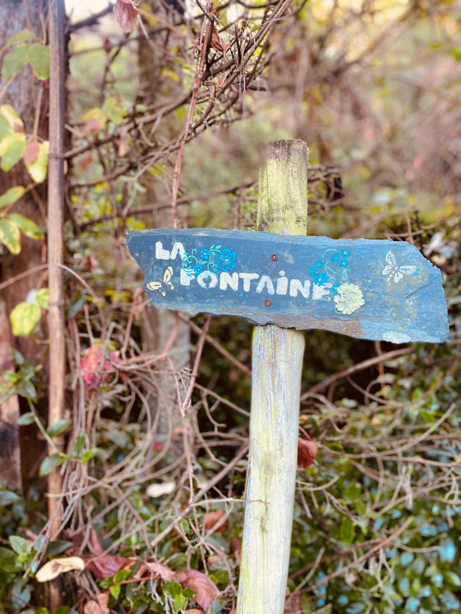 Quinta De Ribas Βίλα Amarante Εξωτερικό φωτογραφία