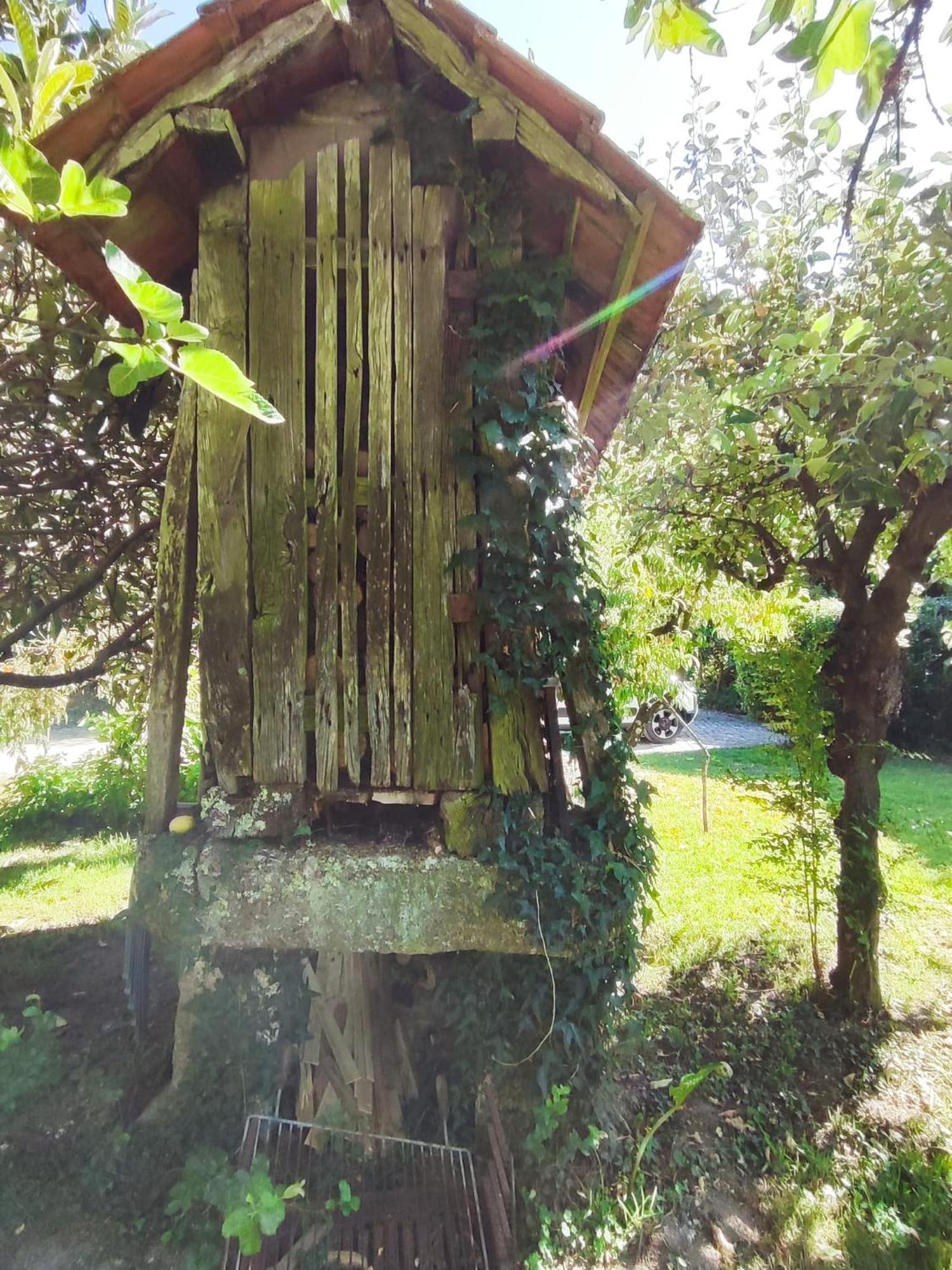 Quinta De Ribas Βίλα Amarante Εξωτερικό φωτογραφία