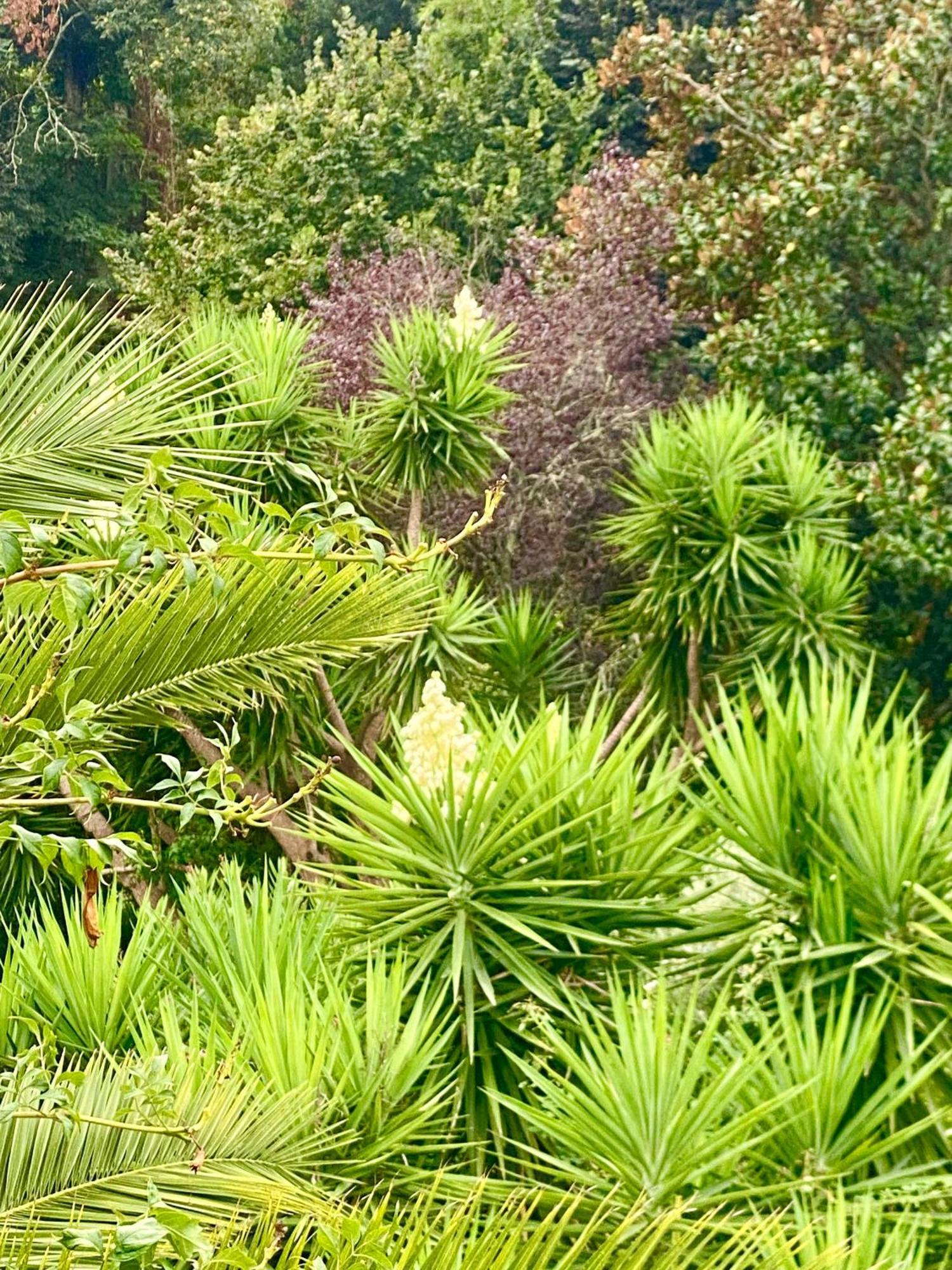 Quinta De Ribas Βίλα Amarante Εξωτερικό φωτογραφία