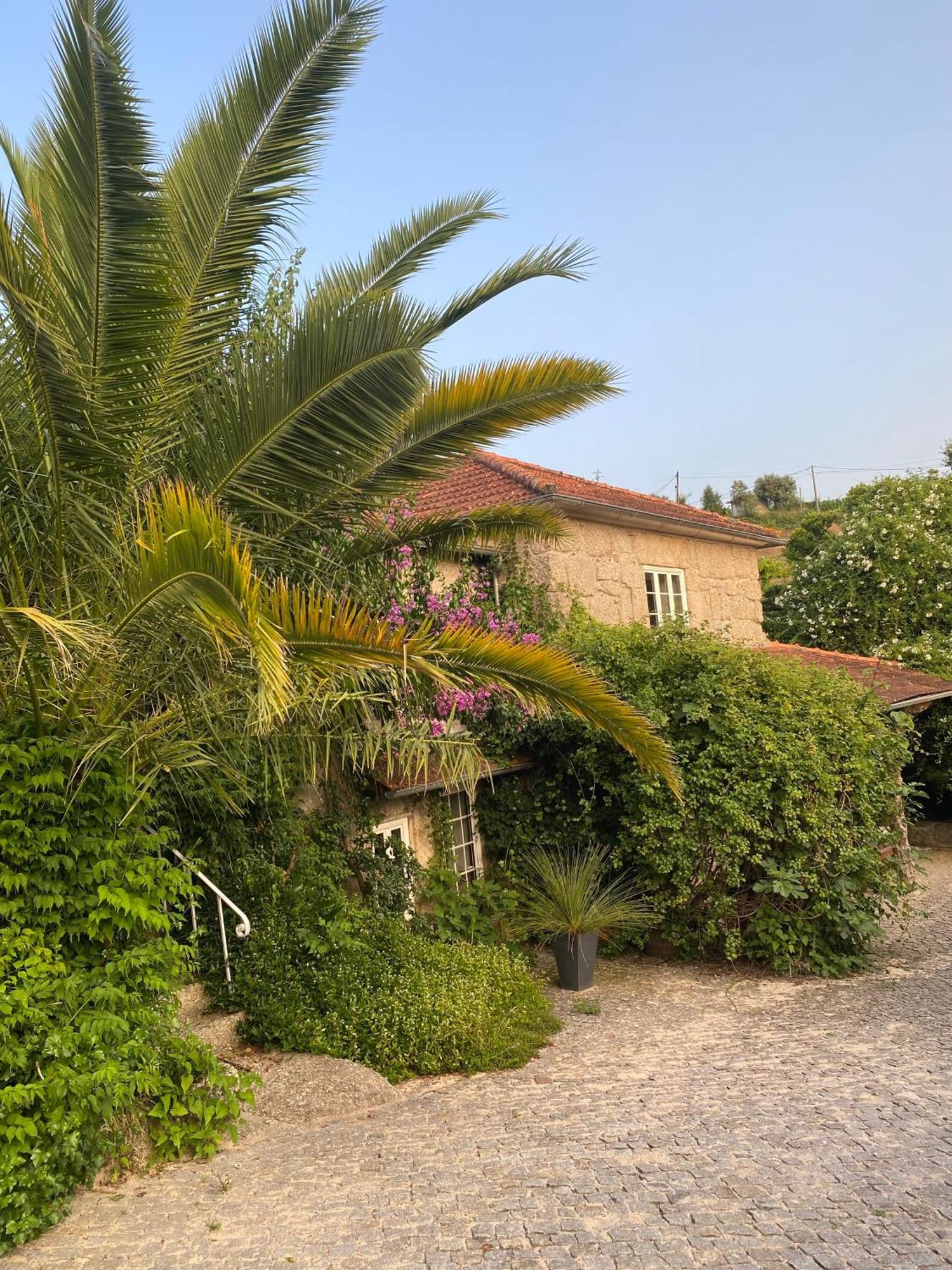 Quinta De Ribas Βίλα Amarante Εξωτερικό φωτογραφία