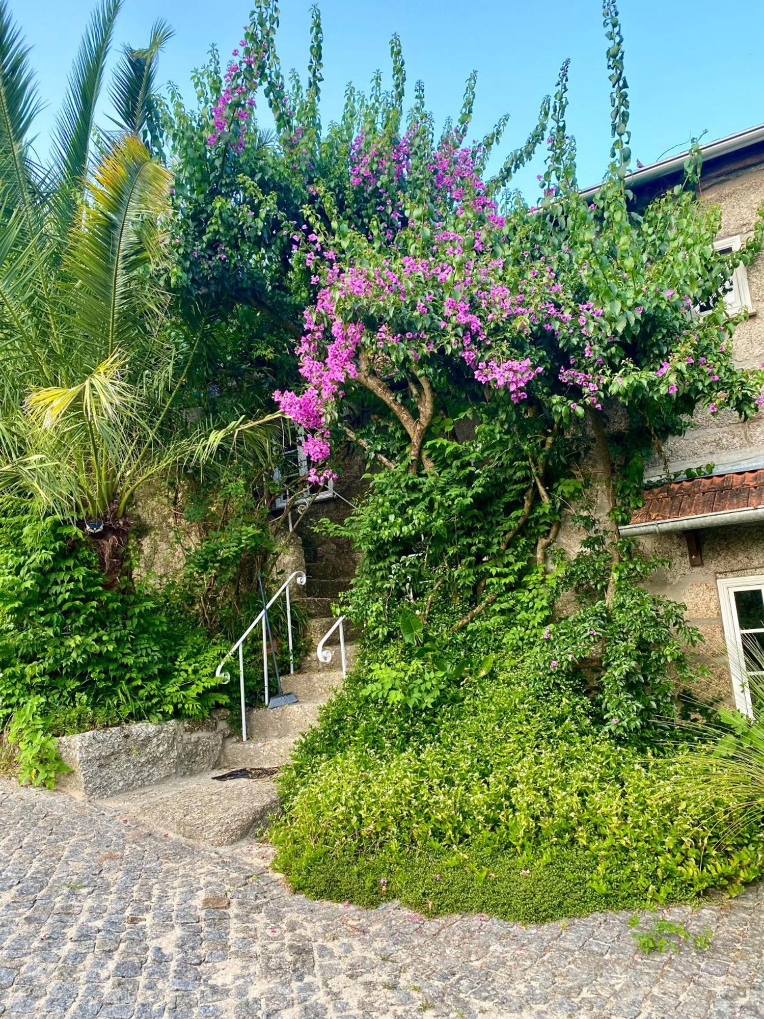 Quinta De Ribas Βίλα Amarante Εξωτερικό φωτογραφία
