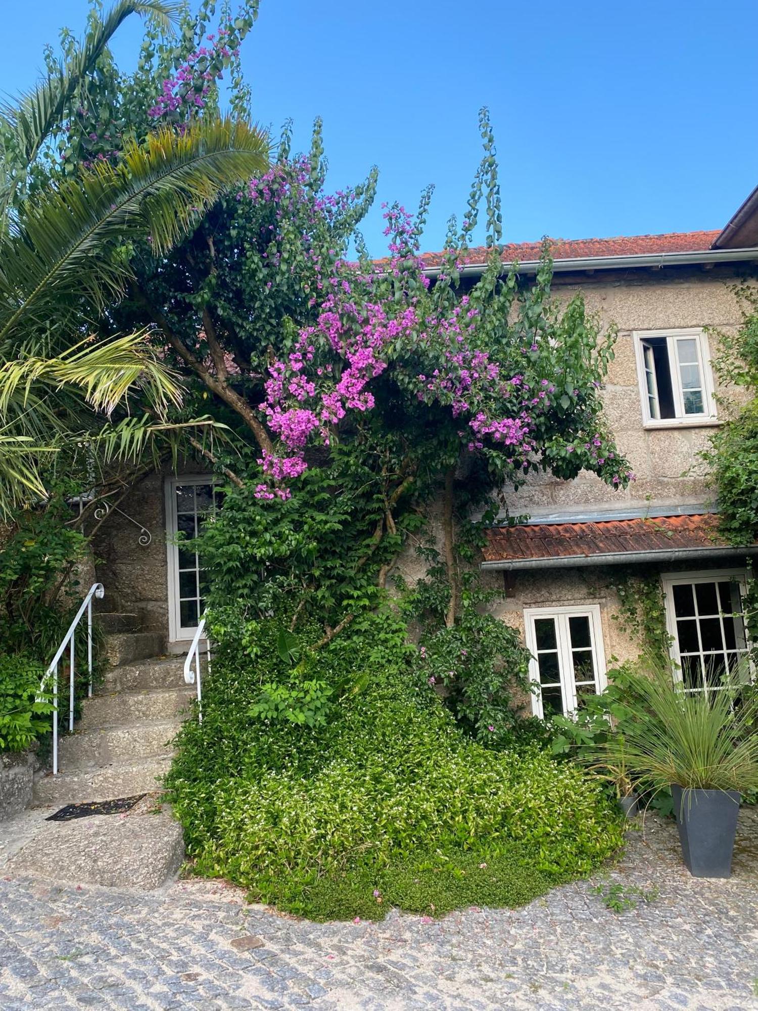 Quinta De Ribas Βίλα Amarante Εξωτερικό φωτογραφία